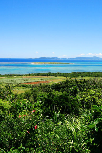 2008年八重山旅行